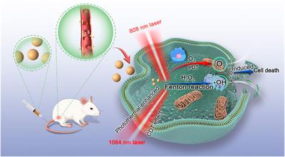 Biomineralized hybrid nanodots for tumor therapy via NIR-II fluorescence and photothermal imaging